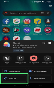 excluir o histórico de pesquisa do Android