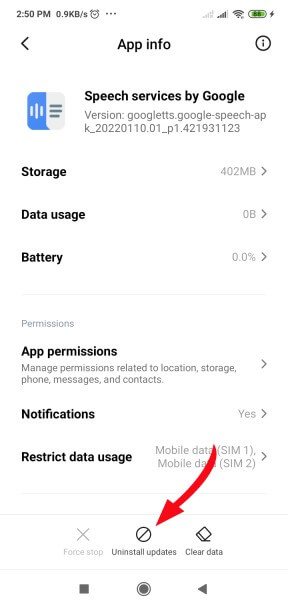 Serviços de voz do Google Atualização aguardando conexão de rede
