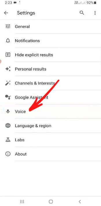 Serviços de voz do Google Atualização aguardando conexão de rede