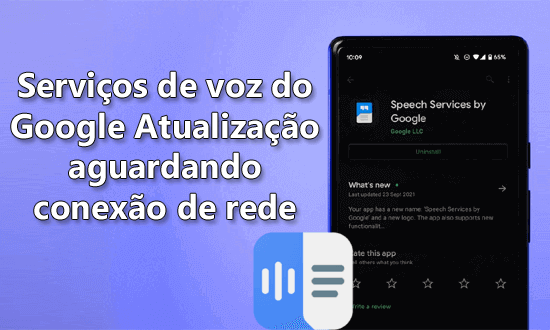 Serviços de voz do Google Atualização aguardando conexão de rede