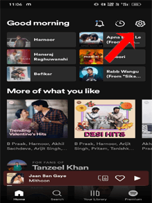 faça login novamente na sua conta do Spotify