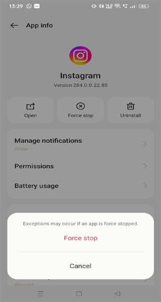 O Instagram não consegue carregar a imagem