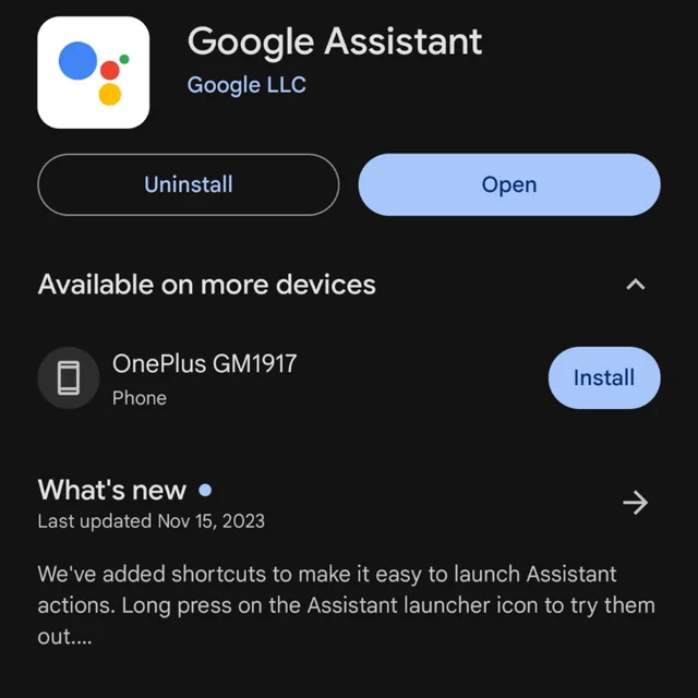 Google Assistant Algo deu errado, tente novamente Erro