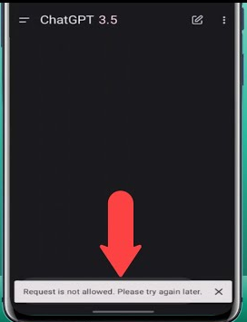 erro ChatGPT Request Is Not Allowed
